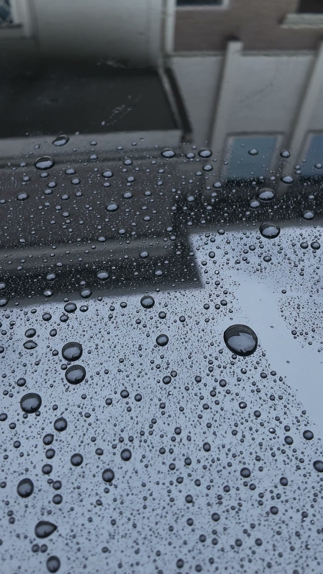 水玉が全面に残った黒いボディ