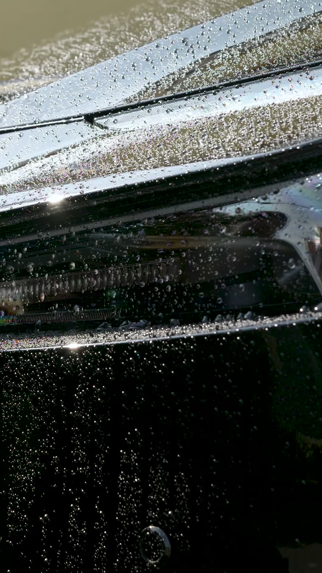 水滴が残ったボンネット